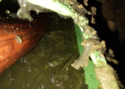 Skilled Plumbing Services Company