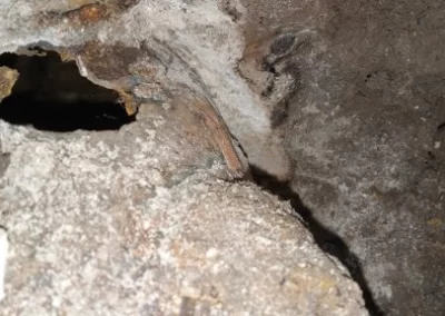 Top-notch Plumbing Services Company